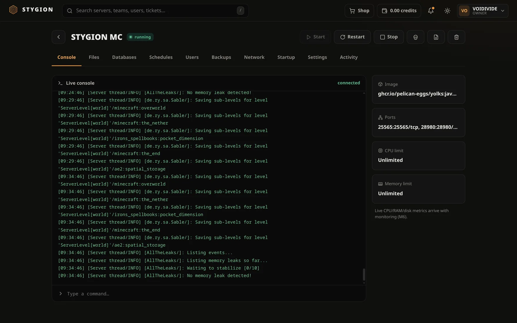 A Minecraft server open in the panel: the live console mid-log, with the image, ports and limits beside it.